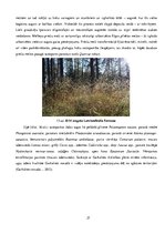 Research Papers 'Etalonteritorijas biotopu un augšņu daudzveidība', 27.