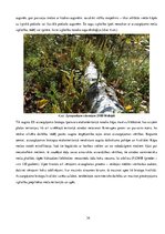 Research Papers 'Etalonteritorijas biotopu un augšņu daudzveidība', 34.