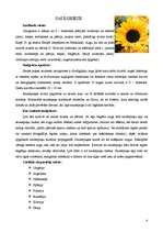 Research Papers 'Eļļas augi: soja, saulgrieze, rapsis, olīvkoki, zemesrieksti', 4.