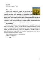 Research Papers 'Eļļas augi: soja, saulgrieze, rapsis, olīvkoki, zemesrieksti', 5.