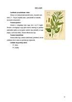 Research Papers 'Eļļas augi: soja, saulgrieze, rapsis, olīvkoki, zemesrieksti', 10.