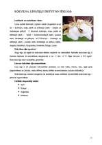 Research Papers 'Eļļas augi: soja, saulgrieze, rapsis, olīvkoki, zemesrieksti', 11.