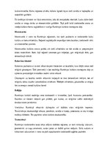 Summaries, Notes 'Rumānija', 7.