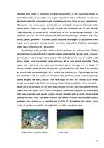 Research Papers 'Okeāna piesārņojums', 3.