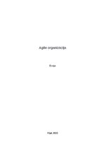Essays 'Agile organizācija', 1.