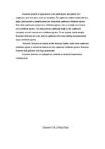 Research Papers 'Augustina Kournota duopols', 12.