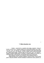 Research Papers 'Skarlatīna', 8.