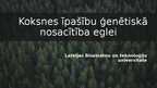 Presentations 'Koksnes īpašību ģenētiskā nosacītība eglei', 1.