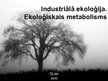 Presentations 'Industriālā ekoloģija. Ekoloģiskais metabolisms', 1.