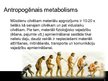 Presentations 'Industriālā ekoloģija. Ekoloģiskais metabolisms', 3.