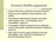 Presentations 'Fermenti', 4.