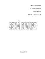 Research Papers 'Senā Divupe', 1.