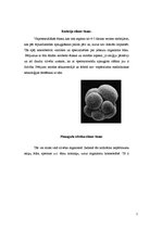 Research Papers 'Cilmes šūnas', 2.