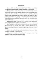 Term Papers 'FINANSIĀLĀ STĀVOKĻA ANALĪZE SIA ”X”', 3.