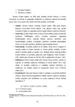 Term Papers 'FINANSIĀLĀ STĀVOKĻA ANALĪZE SIA ”X”', 21.