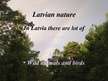 Presentations 'Latvia and Latvians', 11.
