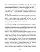 Essays 'Varas dalīšana', 5.