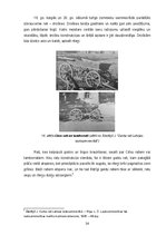 Research Papers 'Latviešu zemnieku sauszemes transportlīdzekļi 19.gadsimtā', 14.