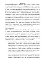 Research Papers 'Šizofrēnija', 6.