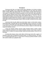 Research Papers 'Slēgts teodolīta gājiens', 11.