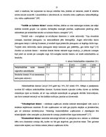 Term Papers 'Uzņēmuma darbības analīze un attīstības iespējas', 27.