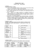 Samples 'Eiropa 14.-15.gadsimtā', 1.
