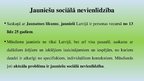 Presentations 'Jauniešu nevienlīdzība Latvijā', 7.