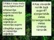 Presentations 'Tropu mežu ekosistēma', 12.