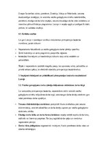 Essays 'Pirmspensijas bezdarbs kā sociālā problēma Latvijā', 6.