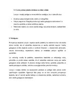 Essays 'Pirmspensijas bezdarbs kā sociālā problēma Latvijā', 8.