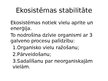 Presentations 'Ekosistēma Latvijā', 3.
