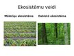 Presentations 'Ekosistēma Latvijā', 6.