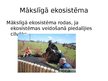 Presentations 'Ekosistēma Latvijā', 7.