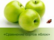 Presentations 'Сравнение сортов яблок', 1.