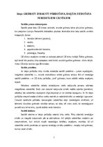 Business Plans 'Grāmatu ierakstu pārdošana, daļēja ziedošana neredzīgiem cilvēkiem', 1.