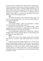 Business Plans 'Grāmatu ierakstu pārdošana, daļēja ziedošana neredzīgiem cilvēkiem', 3.