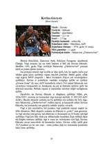 Research Papers 'NBA 12 komandu balsti ', 28.