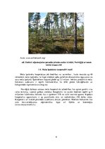 Research Papers 'Meža nozares raksturojums Norvēģijā', 6.