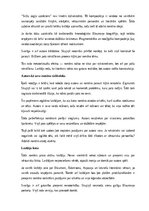 Summaries, Notes 'Zigmunda Skujiņa romāna “Siržu zagļa uznāciens” analīze', 14.