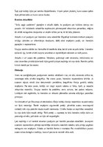 Summaries, Notes 'Zigmunda Skujiņa romāna “Siržu zagļa uznāciens” analīze', 15.
