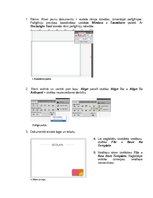 Samples 'Grafisko darbu veidošana ar Adobe Illustrator CS5. Template', 2.