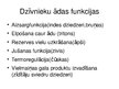 Presentations 'Ādas uzbūve un funkcijas', 8.