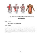Summaries, Notes 'Sportista anamnēze, somatoskopija, pēdu apskate', 6.