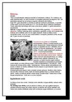 Research Papers 'Difterija. Corynebacterium diphtherae', 3.