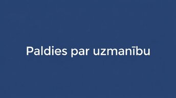 Presentations 'Iedzīvotāju ienākuma nodoklis (IIN) Latvijā 2026. gadā', 14.