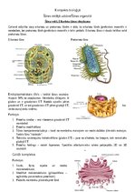 Summaries, Notes 'Šūnas organoīdi', 1.