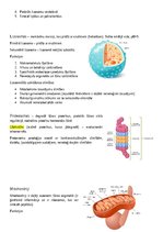 Summaries, Notes 'Šūnas organoīdi', 2.