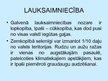Presentations 'Zviedrija', 9.