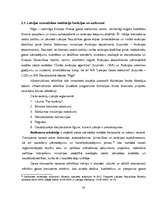 Term Papers 'Latvijas civilās aviācijas tiesiskā reglamentācija, problemātika un attīstības t', 20.