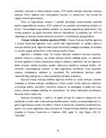 Term Papers 'Latvijas civilās aviācijas tiesiskā reglamentācija, problemātika un attīstības t', 30.